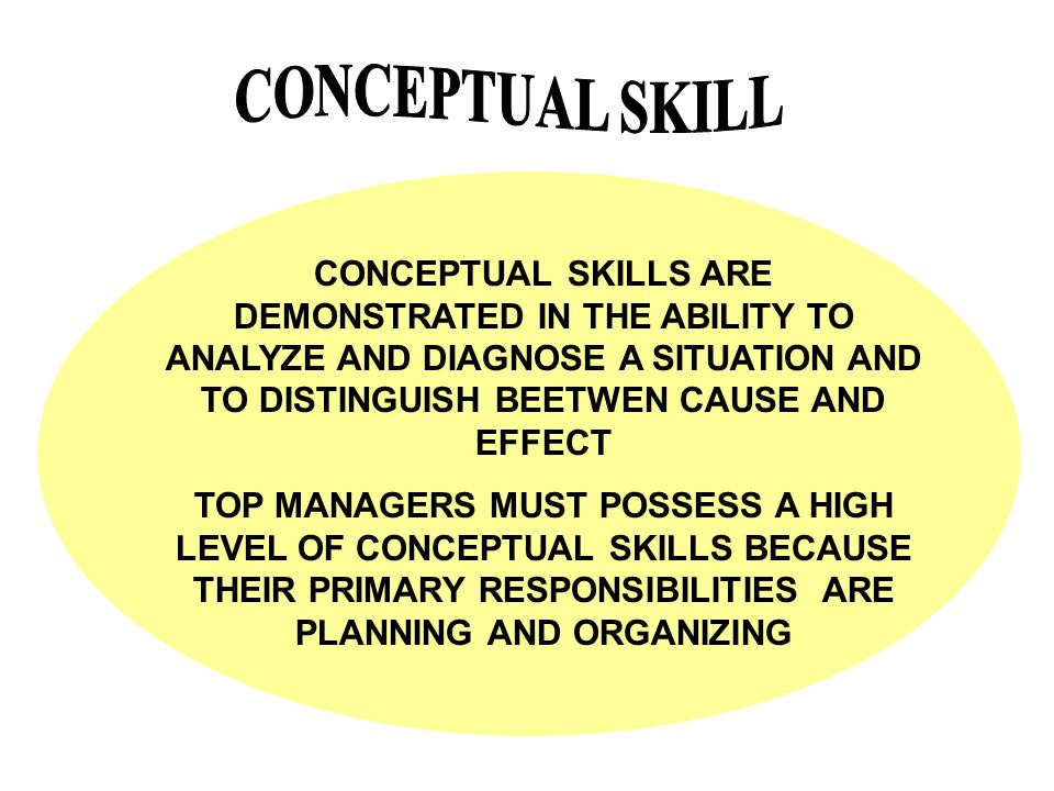 Skills Management and Conceptual Skills